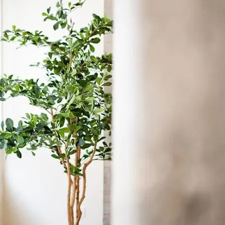 Mirakruz Zurriola With Ac Апартаменты Сан-Себастьян