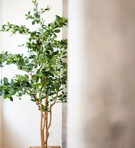 Mirakruz Zurriola With Ac דירה סן סבסטיאן