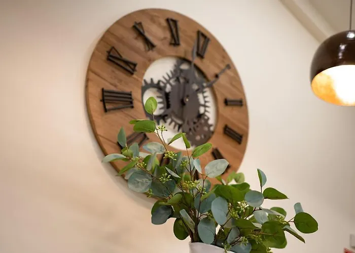 Mirakruz Zurriola With Ac